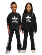 adidas Originals Детски анцуг