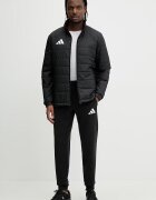 adidas Performance Панталон за трениране Entrada26 мъжки в черно с изчистен дизайн JZ9138