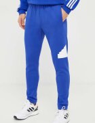 adidas Спортен панталон