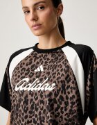 adidas тениска дамска House of Tiro кафява KV0905