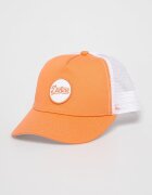 Dakine Шапка