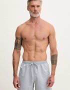 Nike плувни шорти мъжки сиви NESSG505