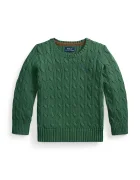 Polo Ralph Lauren пуловер за деца от памук зелен 322702674521