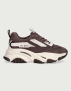 Steve Madden Possession-E маратонки дамски кафяви 11004652