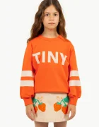 Tinycottons Детски памучен суичър STRIPES LOGO SWEATSHIRT