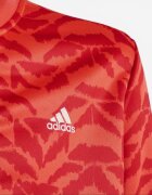 adidas Celebration TrackSuit Orange
