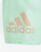 adidas Logo Clx Swim Shorts Green