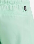 adidas Logo Clx Swim Shorts Green
