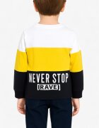 Chicco Boys Sweatshirt Multicolor