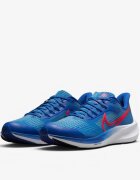 Nike AirZoom Pegasus 39 W Shoes Blue