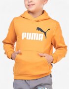 Puma Essentials+ 2 Color Big Logo Hoodie Orange