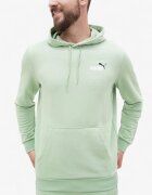 Puma Essentials+ 2 Color Logo Hoodie Green