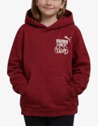 Puma Essentials Mid 90's Hoodie Red