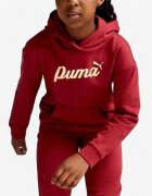 Puma Essentials+ Script Metallic Hoodie Red