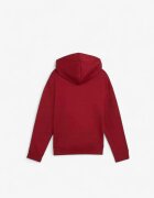 Puma Essentials+ Script Metallic Hoodie Red