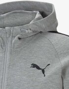 Puma Evostripe Full Zip Hoodie Jr Gray/Black
