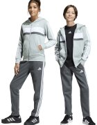 adidas Sportswear Худи с дълги ръкави с лого - Бял/Бледозелен/Tъмносив