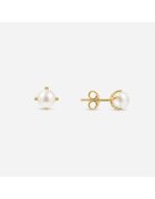 Atelier Devi 14K Златни Обеци с Естествени Перли AAA 6 мм -