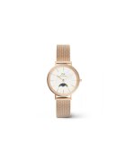 Daniel Wellington Ceas Iconic Link DW00100773
