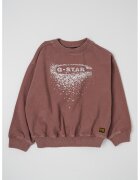G-Star Уголемен суитчърт с графика и лого