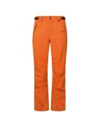 Oakley Мъжки ски панталони Best Cedar Rc Insulated
