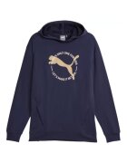Puma Мъжки суитшърт - Памук