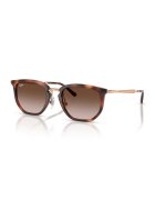 Ray-Ban Овални слънчеви очила с лого - Черен/Сребрист