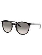 Ray-Ban Слънчеви очила RB2204 901/32 51