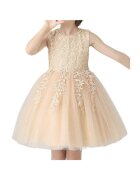 ZOYA Fashion Evelina Елегантна и изтънчена рокля за момиченце - идеална за специални събития - балове и партита