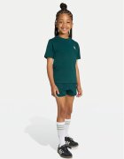 adidas Комплект тишърт и панталонки JY4875 Regular Fit