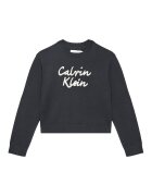 Calvin Klein Jeans Пуловер IG0IG02971 D Regular Fit