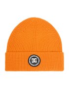 DC Shoes Шапка CEO-DC-M3-001-AW25