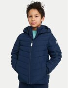 Reima Преходно яке Uumaja 5100340A Regular Fit