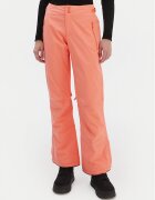 Roxy Ски панталони Alpine Ridge ERJTP03297 Straight Fit