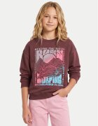 Roxy Суитшърт Lineup Brushed ERGFT04021 Oversize
