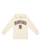 United Colors of Benetton Суитшърт 32N4C204U Regular Fit