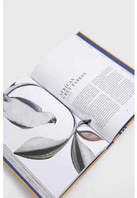 Bloomsbury Publishing PLC Книга - Pepit.bg