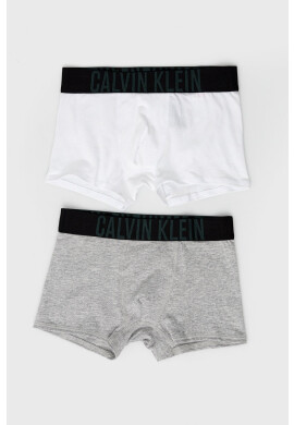 Calvin Klein Underwear Детски боксерки (2 чифта) в черно - Pepit.bg