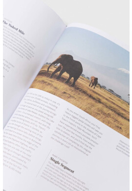 Dorling Kindersley Ltd Детска книга Ride DK Eyewitness - Pepit.bg