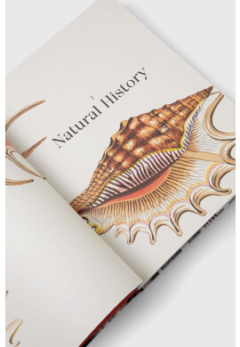 Thames & Hudson Ltd Книга - Pepit.bg
