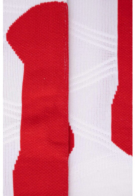 X-socks Ски чорапи Ski Patriot 4.0 - Pepit.bg