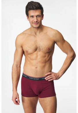 Tommy Hilfiger 3PACK боксерки Premium Essentials II - Pepit.bg