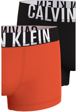CALVIN KLEIN Боксерки 2 чифта - Pepit.bg