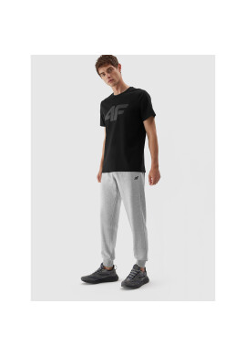 4F Долнище анцуг AW23TTROM451 Сив Regular Fit - Pepit.bg