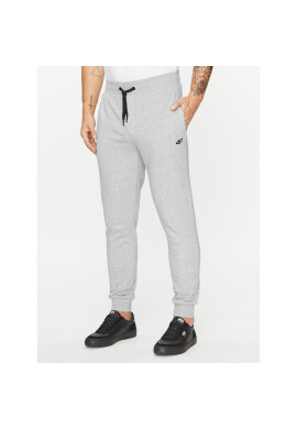 4F Долнище анцуг AW23TTROM452 Сив Regular Fit - Pepit.bg