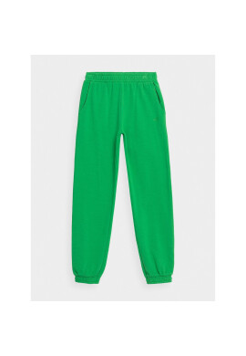 4F Долнище анцуг JAW23TTROF426 Зелен Regular Fit - Pepit.bg