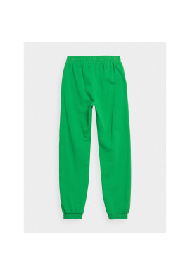 4F Долнище анцуг JAW23TTROF426 Зелен Regular Fit - Pepit.bg