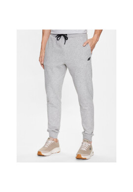 4F Долнище анцуг SS23TTROM223 Сив Regular Fit - Pepit.bg