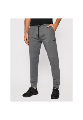 4F Долнище анцуг D4Z20-SPMTR111 Сив Regular Fit - Pepit.bg