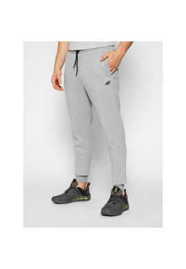 4F Долнище анцуг H4L21-SPMD010 Сив Regular Fit - Pepit.bg